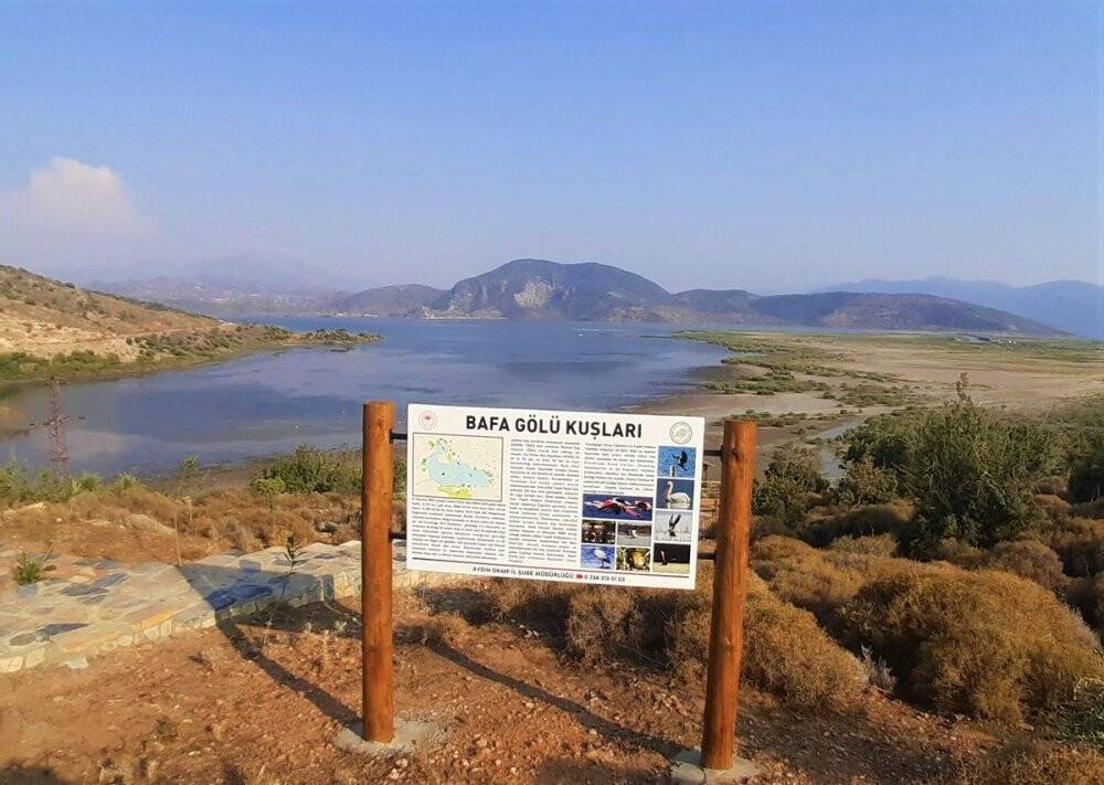 Vefalı leylek Avşarlı Kuşadası’nı terk etmedi