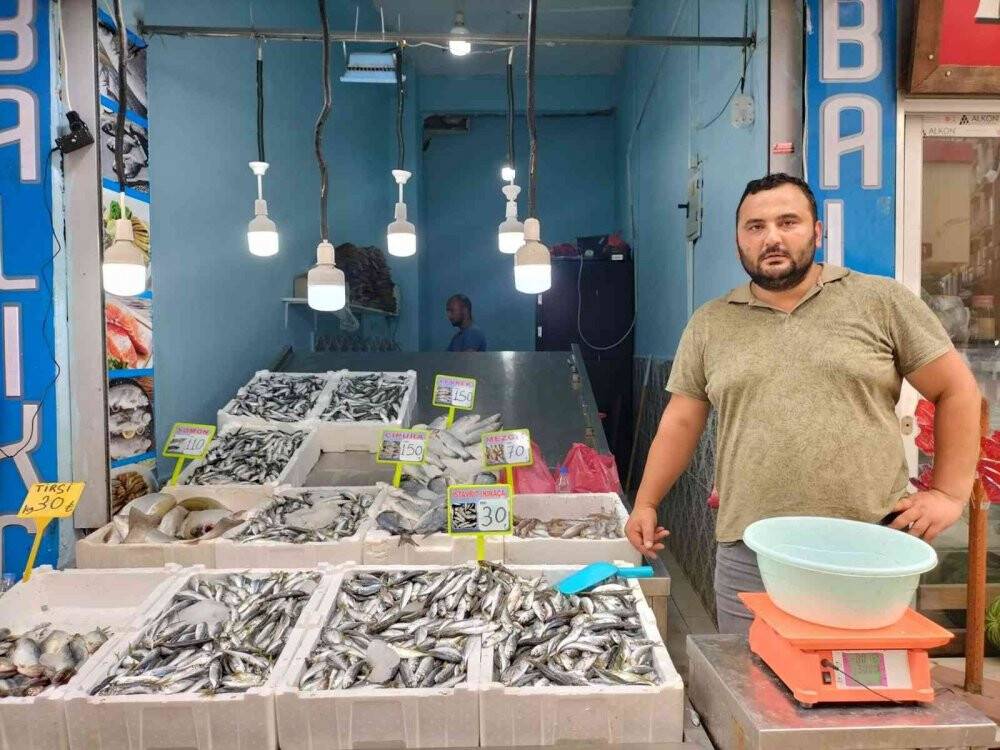 Balıkçı tezgahları şenlendi