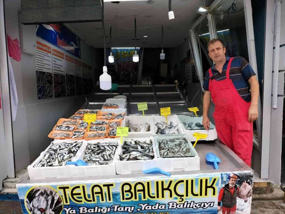 Balıkçı tezgahları şenlendi