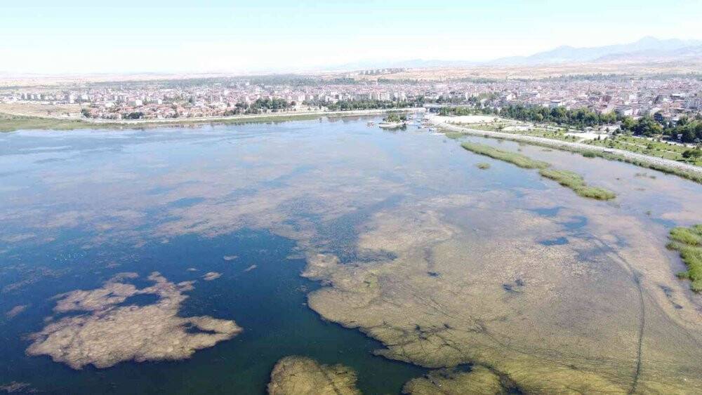 Konya’nın göl ve göletlerine 2 milyon yavru sazan balığı bırakıldı