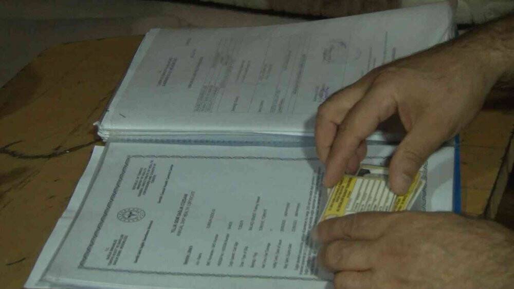 Marmara Denizi ve Büyükçekmece’deki balık halinde denetim