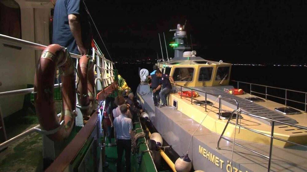 Marmara Denizi ve Büyükçekmece’deki balık halinde denetim