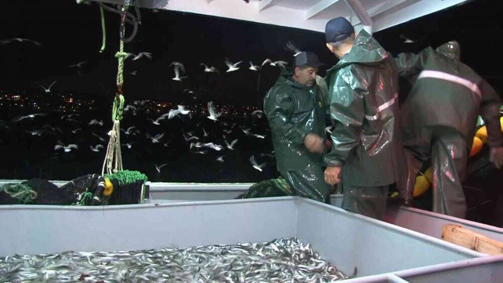 Marmara Denizi ve Büyükçekmece’deki balık halinde denetim