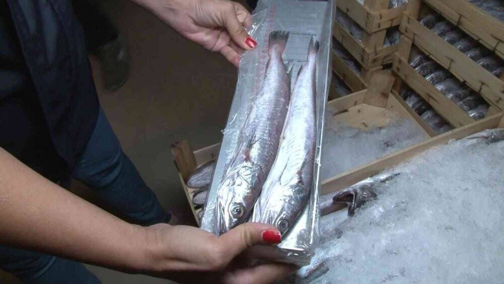 Marmara Denizi ve Büyükçekmece’deki balık halinde denetim