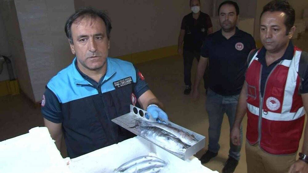 Marmara Denizi ve Büyükçekmece’deki balık halinde denetim