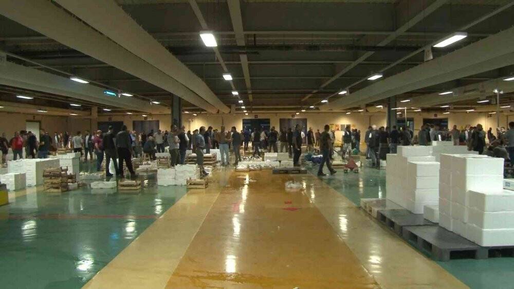 Marmara Denizi ve Büyükçekmece’deki balık halinde denetim