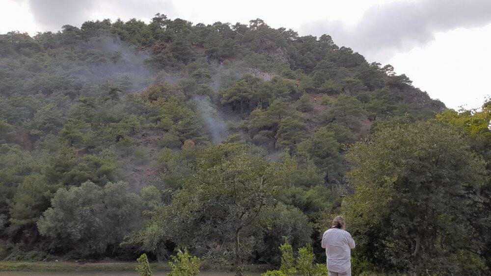 Tokat’ta ormanlık alanda yangın