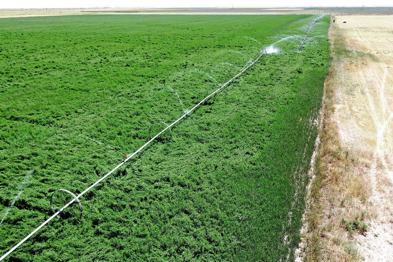 aa-20220906-28822515-28822501-konya-ovasinda-motorlu-sulama-sistemi-ciftcinin-isini-kolaylastiriyor.jpg