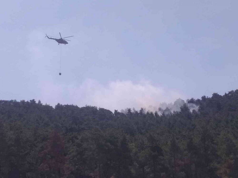 Şimşekler orman yangını çıkardı