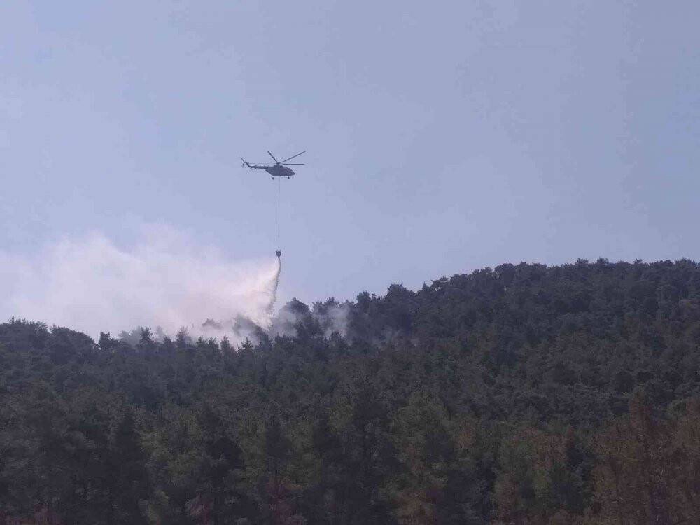 Şimşekler orman yangını çıkardı