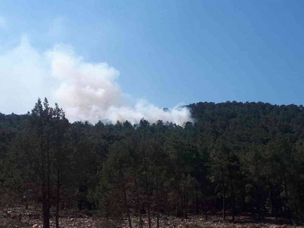 Şimşekler orman yangını çıkardı