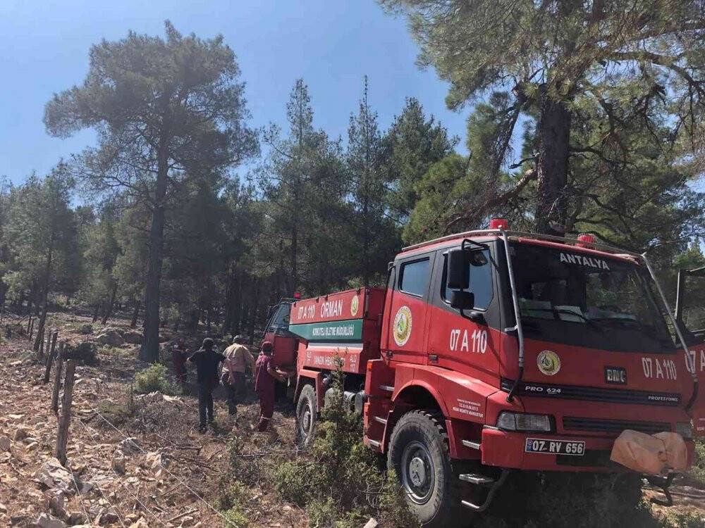 Şimşekler orman yangını çıkardı