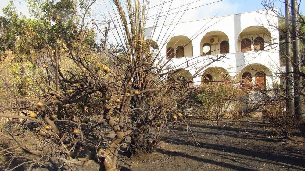 Mersin’deki orman yangınlarına müdahale sürüyor