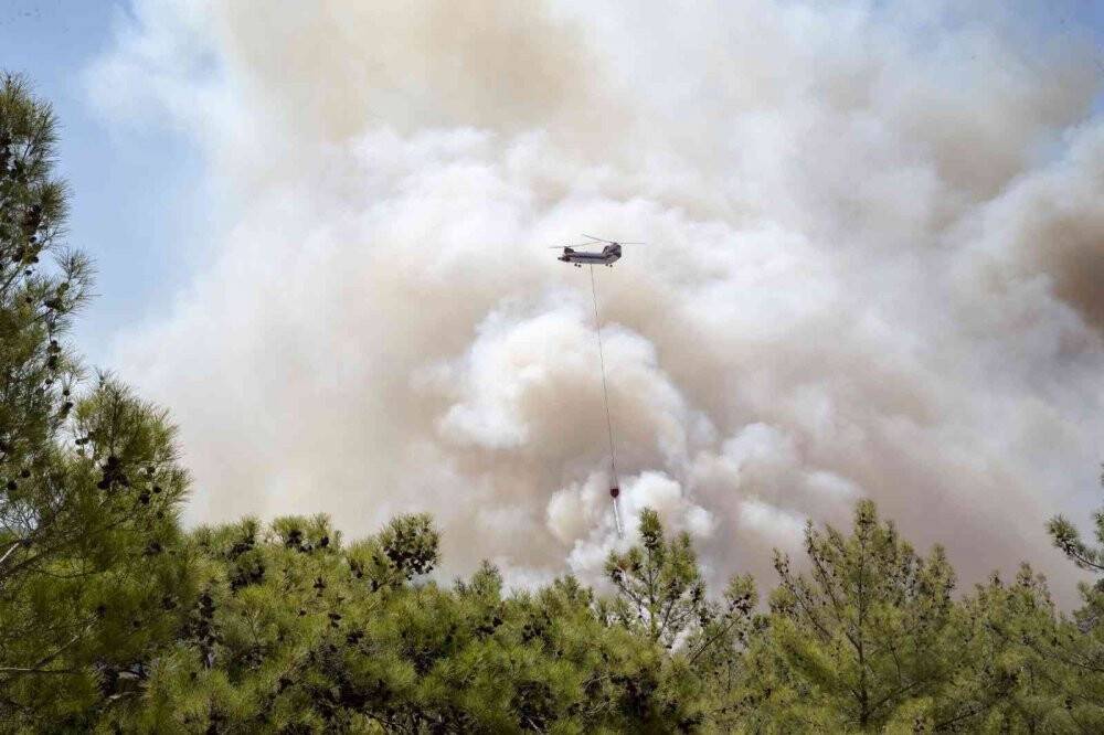 Mobil Mutfak Tırı yangın bölgesinde