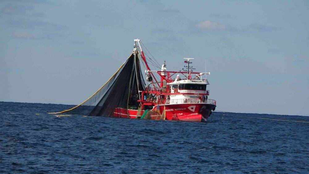 Sezon açıldı, balıkçılara yönelik denetimler sıkılaştı