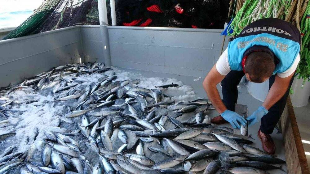 Sezon açıldı, balıkçılara yönelik denetimler sıkılaştı