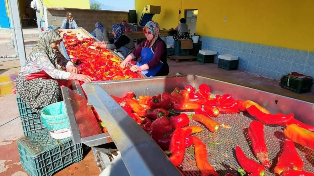 Savaş salça ihracatını artırdı