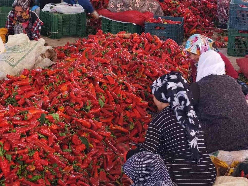 Savaş salça ihracatını artırdı