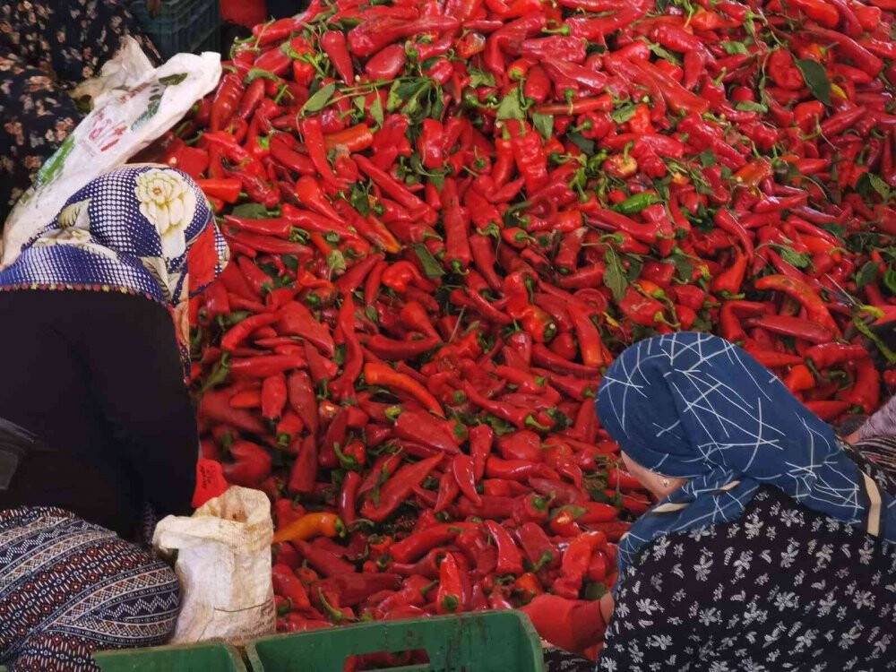 Savaş salça ihracatını artırdı