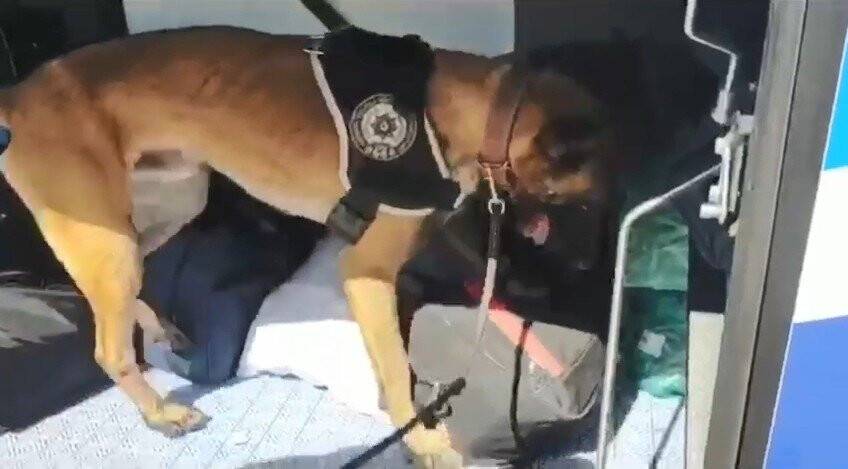 Uyuşturucuyu peynire sarmış