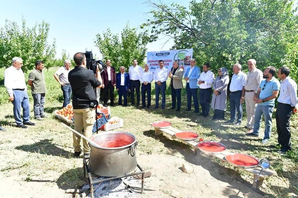 Yeşilyurt’ta domates hasat etkinliği