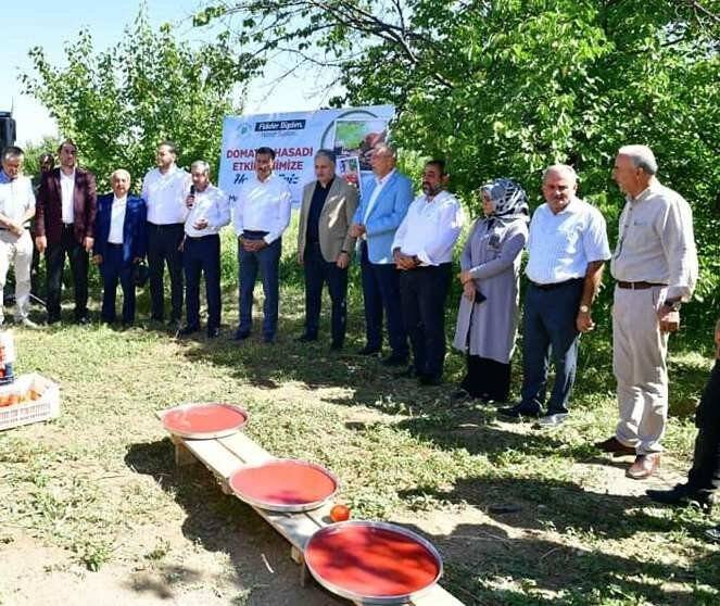 Yeşilyurt’ta domates hasat etkinliği