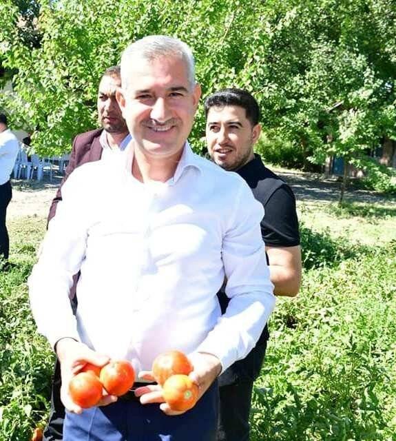 Yeşilyurt’ta domates hasat etkinliği