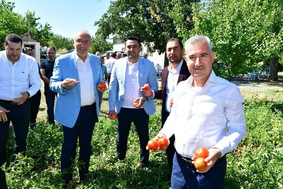 Yeşilyurt’ta domates hasat etkinliği