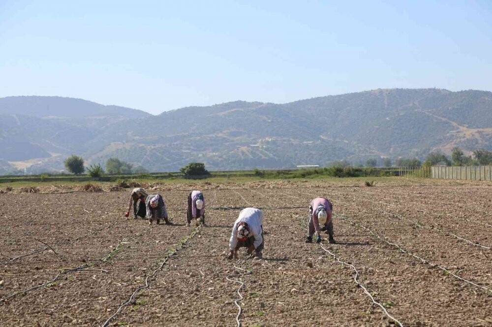 Efeler’in enginarları toprakla buluştu