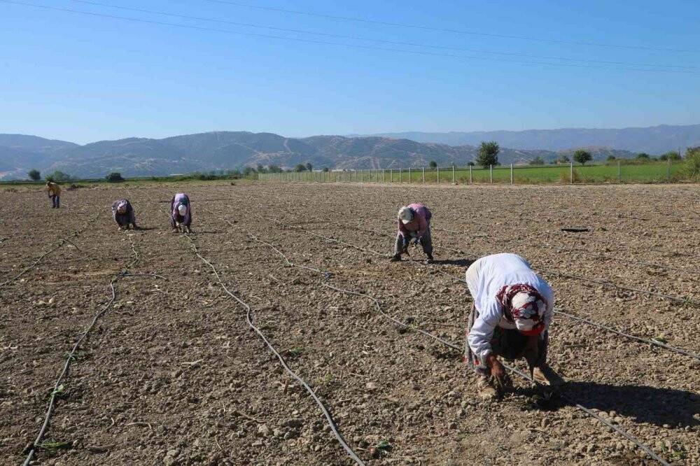 Efeler’in enginarları toprakla buluştu