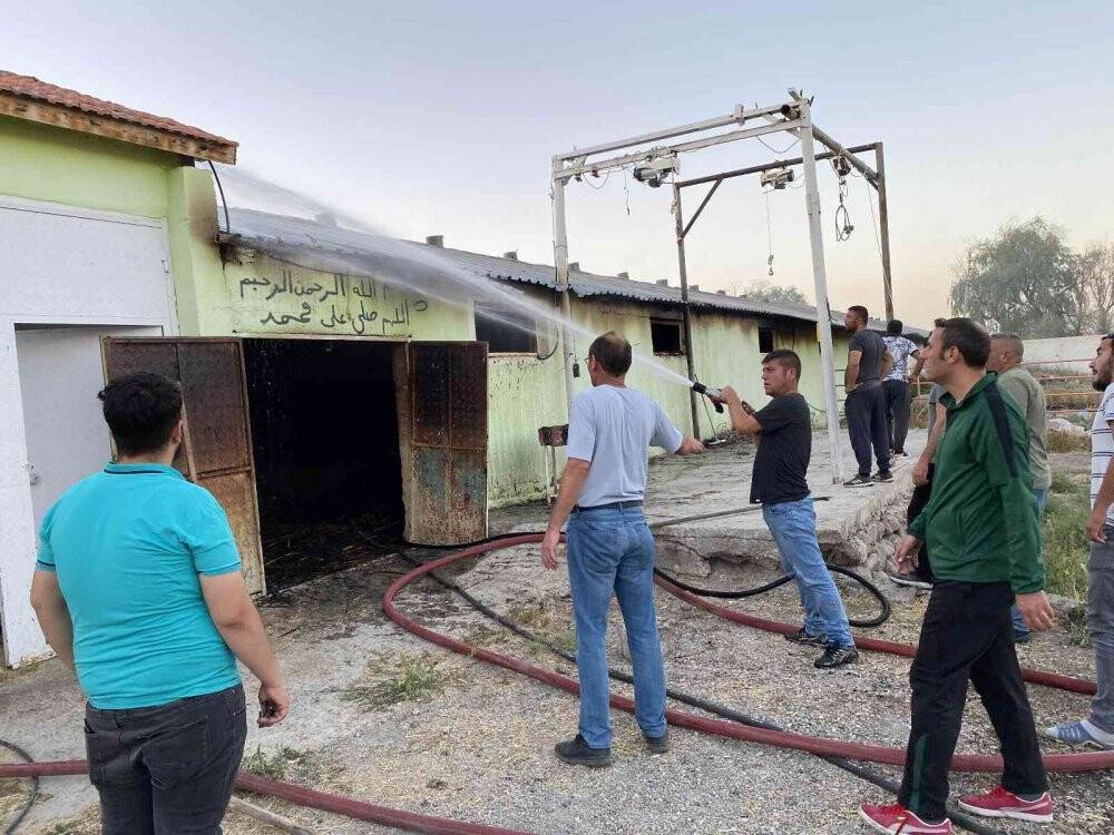 Konya’da büyükbaş ağılında yangın