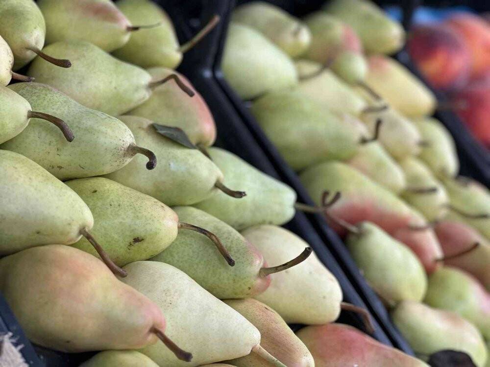 İstanbul’da sebze ve meyve halinde bolluk yaşanıyor