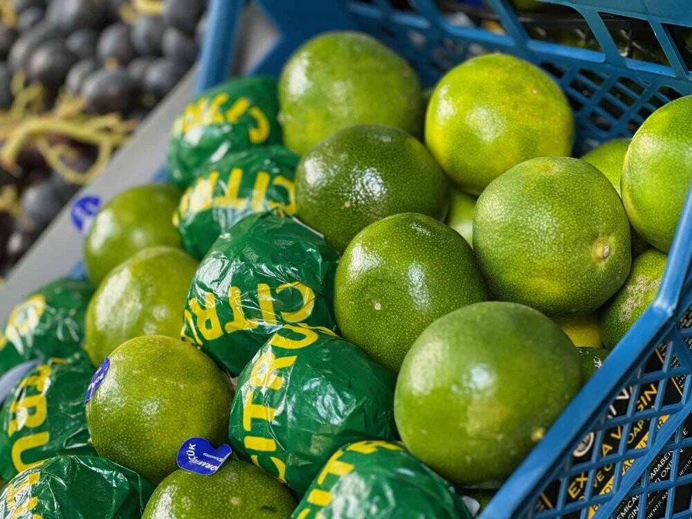 İstanbul’da sebze ve meyve halinde bolluk yaşanıyor