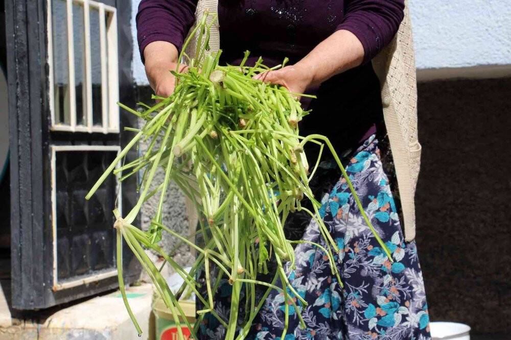Sonbaharla beraber kadınların turşu mesaisi başladı