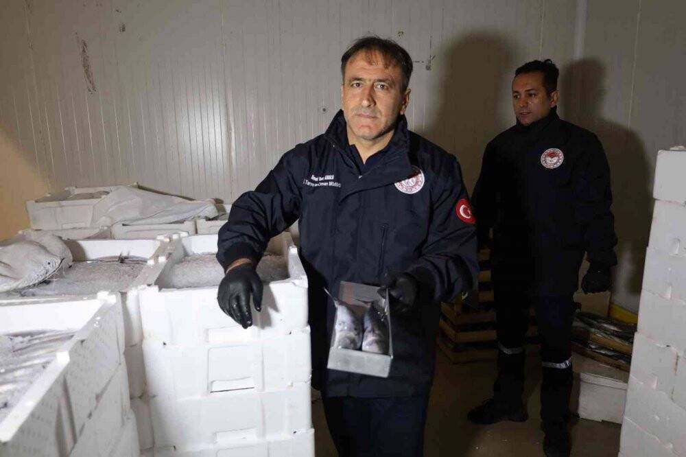 Denizlerde palamut bolluğu yaşanıyor