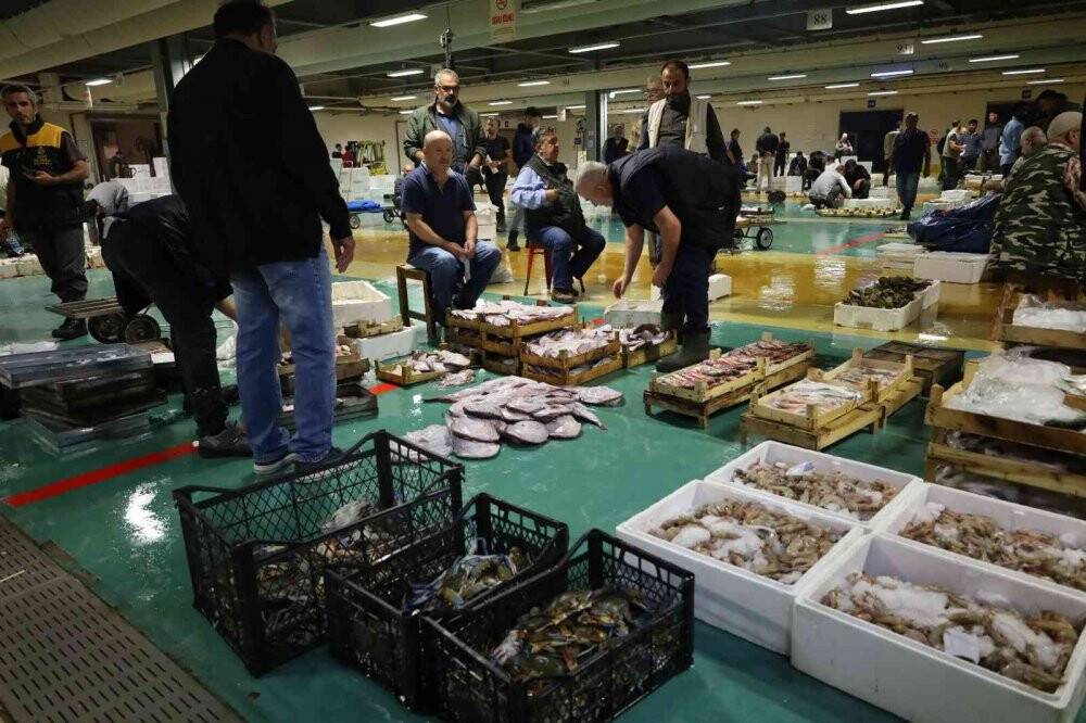 Denizlerde palamut bolluğu yaşanıyor