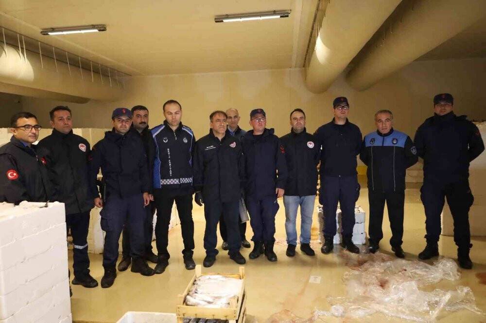 Denizlerde palamut bolluğu yaşanıyor