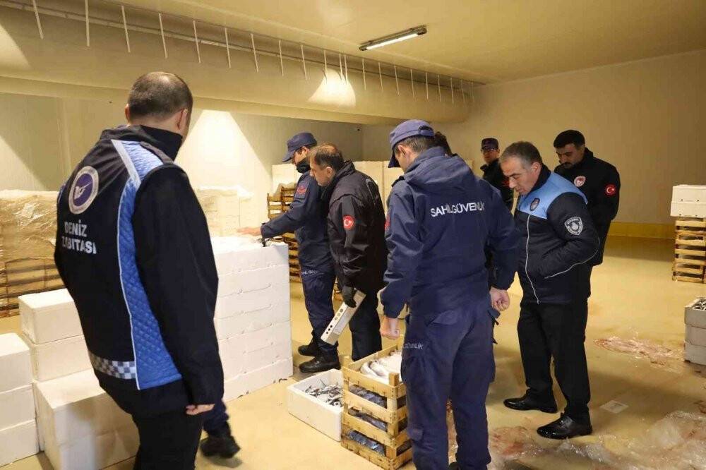 Denizlerde palamut bolluğu yaşanıyor