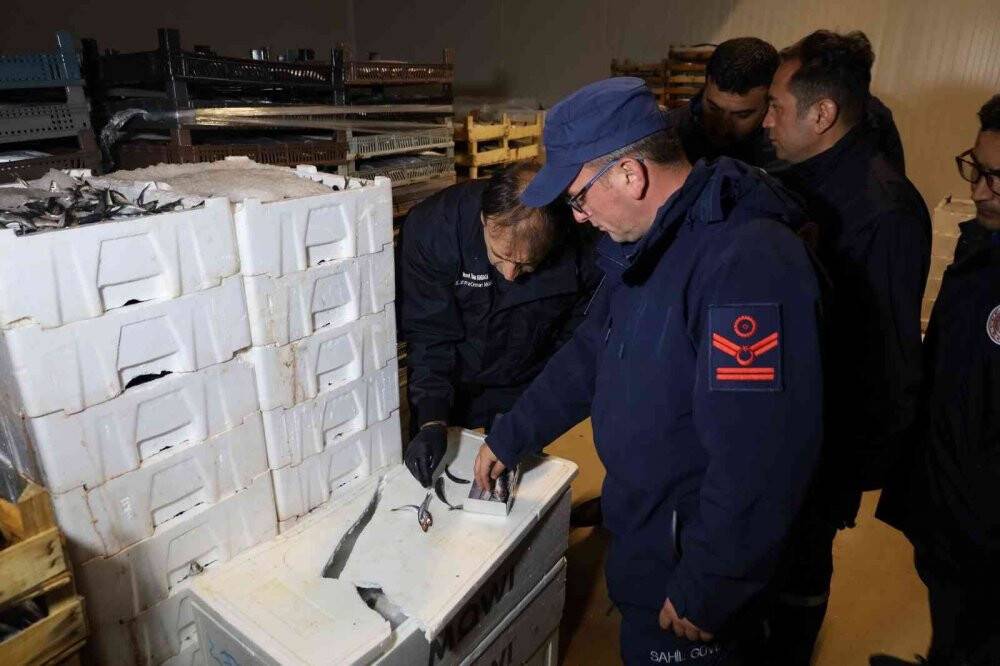 Denizlerde palamut bolluğu yaşanıyor