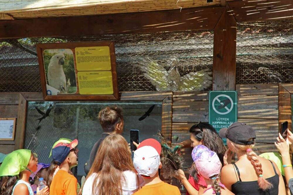 Savaş mağduru Ukraynalı çocukların hayvanat bahçesi keyfi