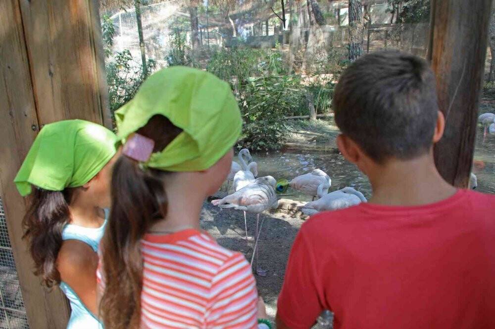 Savaş mağduru Ukraynalı çocukların hayvanat bahçesi keyfi