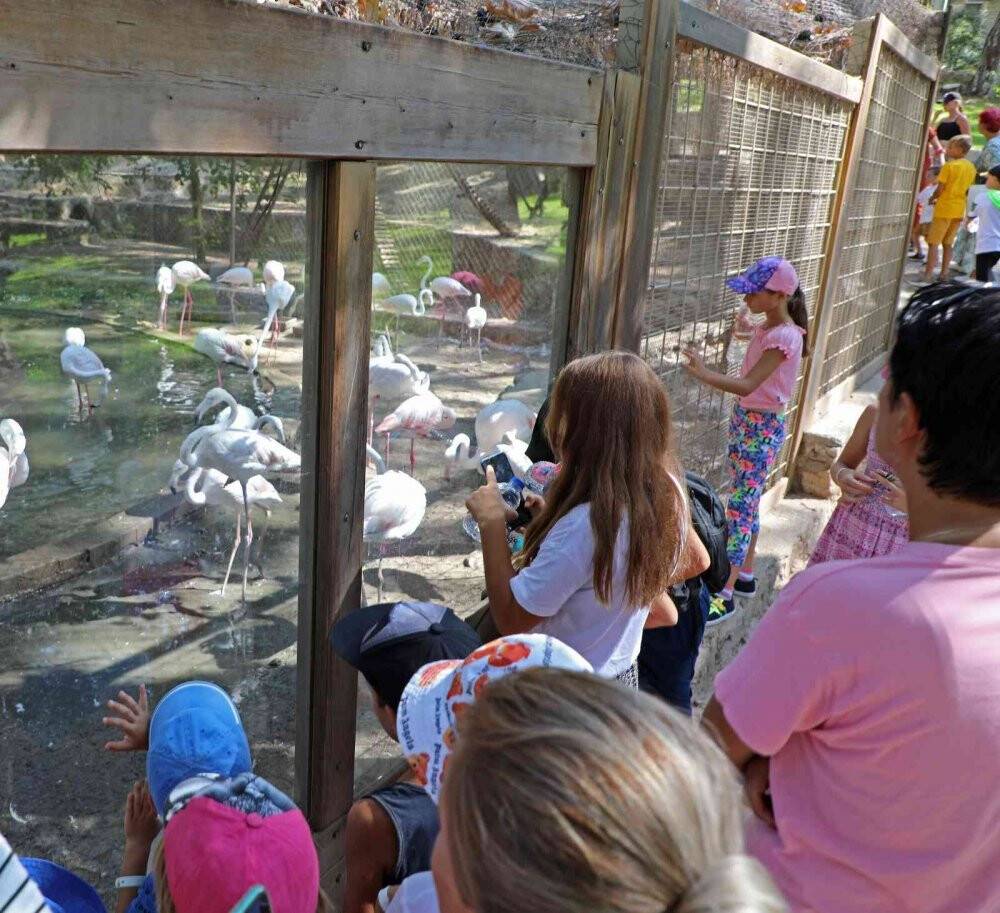 Savaş mağduru Ukraynalı çocukların hayvanat bahçesi keyfi