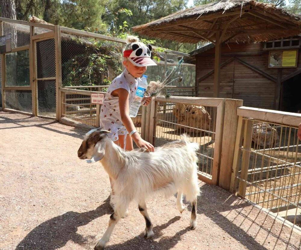 Savaş mağduru Ukraynalı çocukların hayvanat bahçesi keyfi