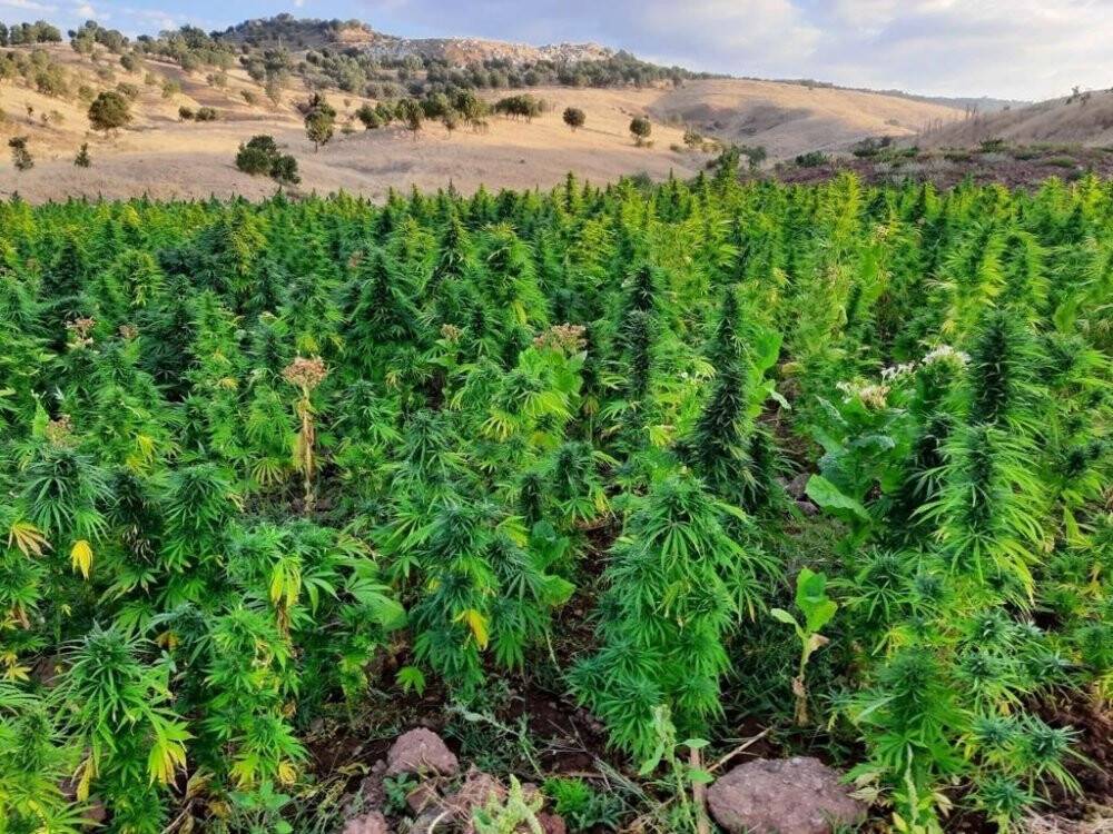 Eren Abluka operasyonunda tonlarca uyuşturucu ele geçirildi