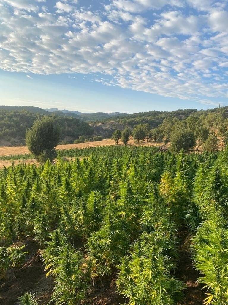 Eren Abluka operasyonunda tonlarca uyuşturucu ele geçirildi