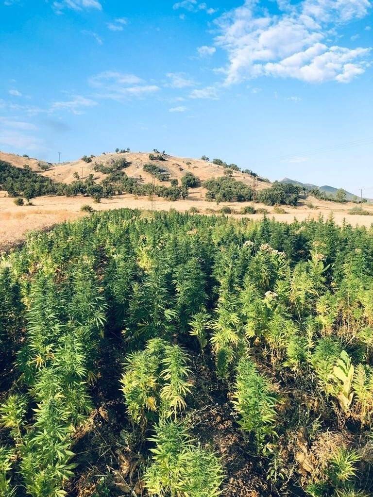 Eren Abluka operasyonunda tonlarca uyuşturucu ele geçirildi