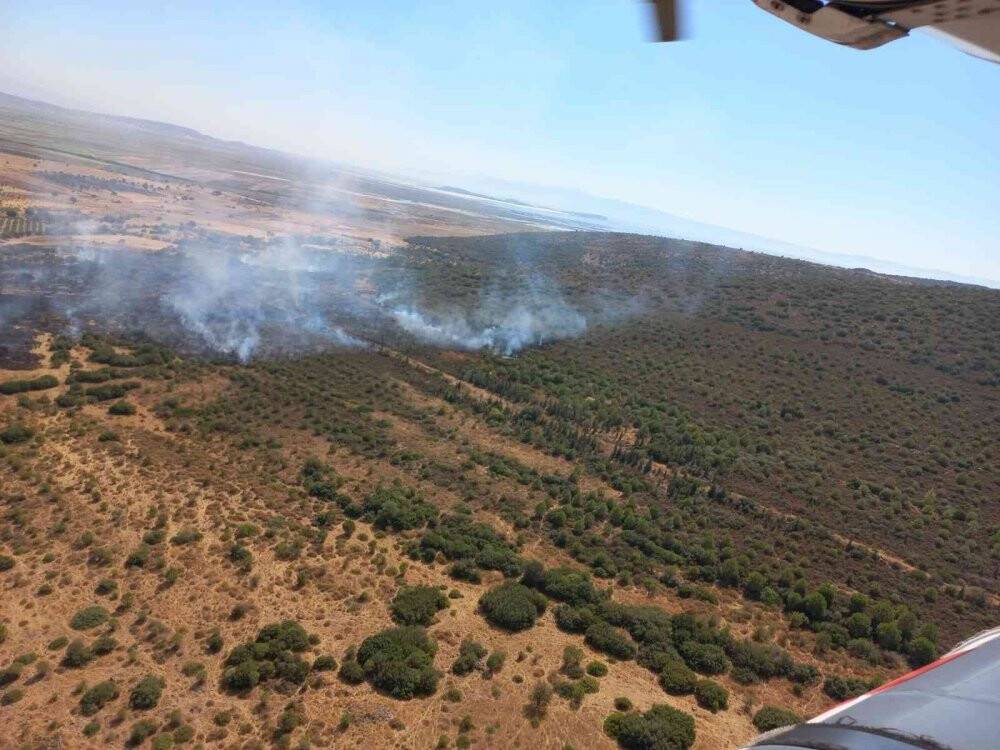 İzmir’de makilik alandaki yangın kontrol altında