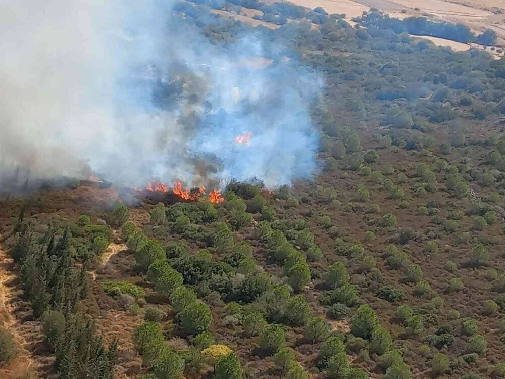 İzmir’de makilik alandaki yangın kontrol altında