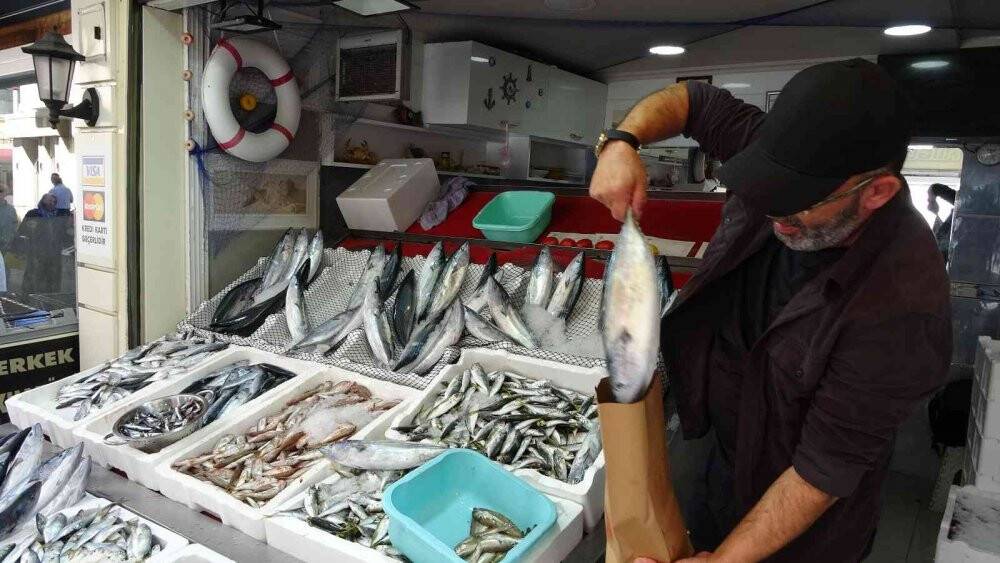 Ordu’da palamut fiyatları düştü: Kiloluk palamutlar 40 lira