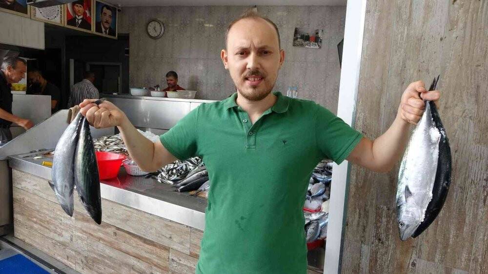 Ordu’da palamut fiyatları düştü: Kiloluk palamutlar 40 lira